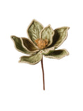 Rametto Magnolia