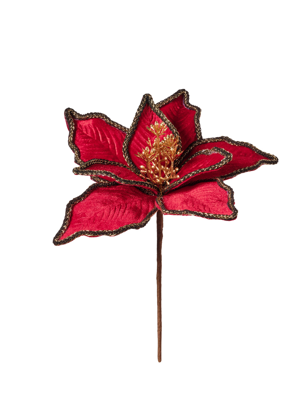 Rametto Stella Natale