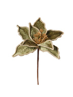 Rametto Stella Natale