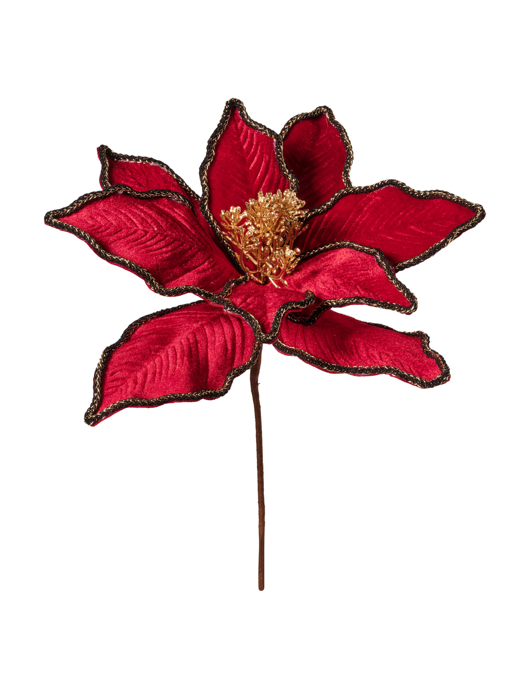 Rametto Stella Natale