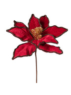 Rametto Stella Natale