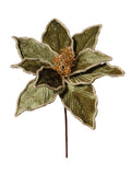 Rametto Stella Natale