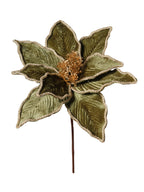 Rametto Stella Natale
