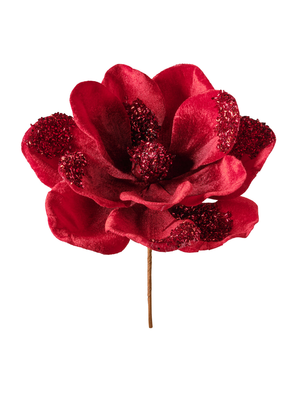 Rametto Magnolia