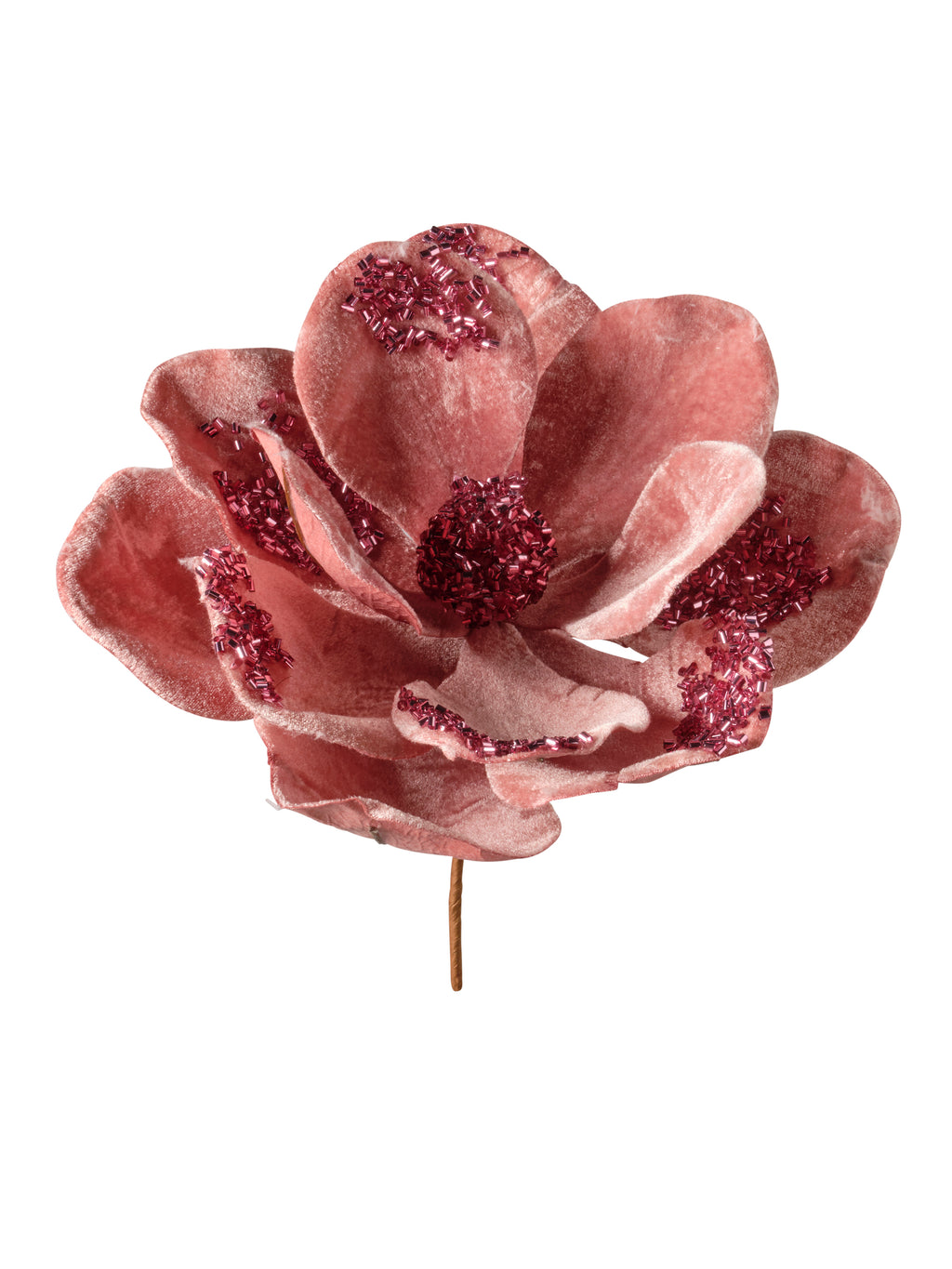 Rametto Magnolia