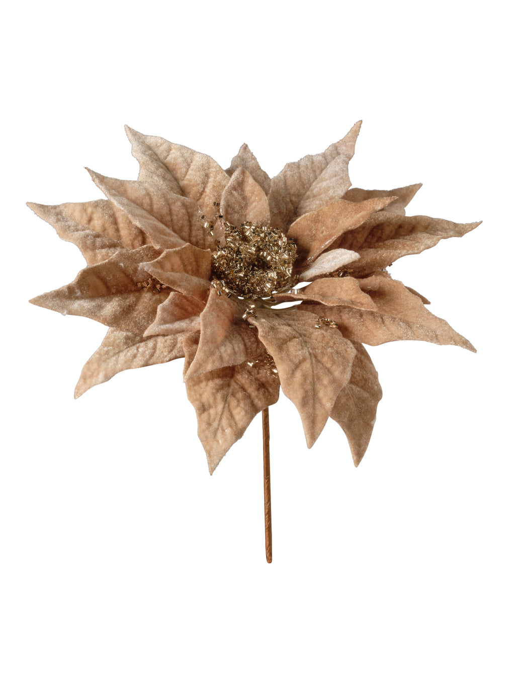 Rametto Stella Natale