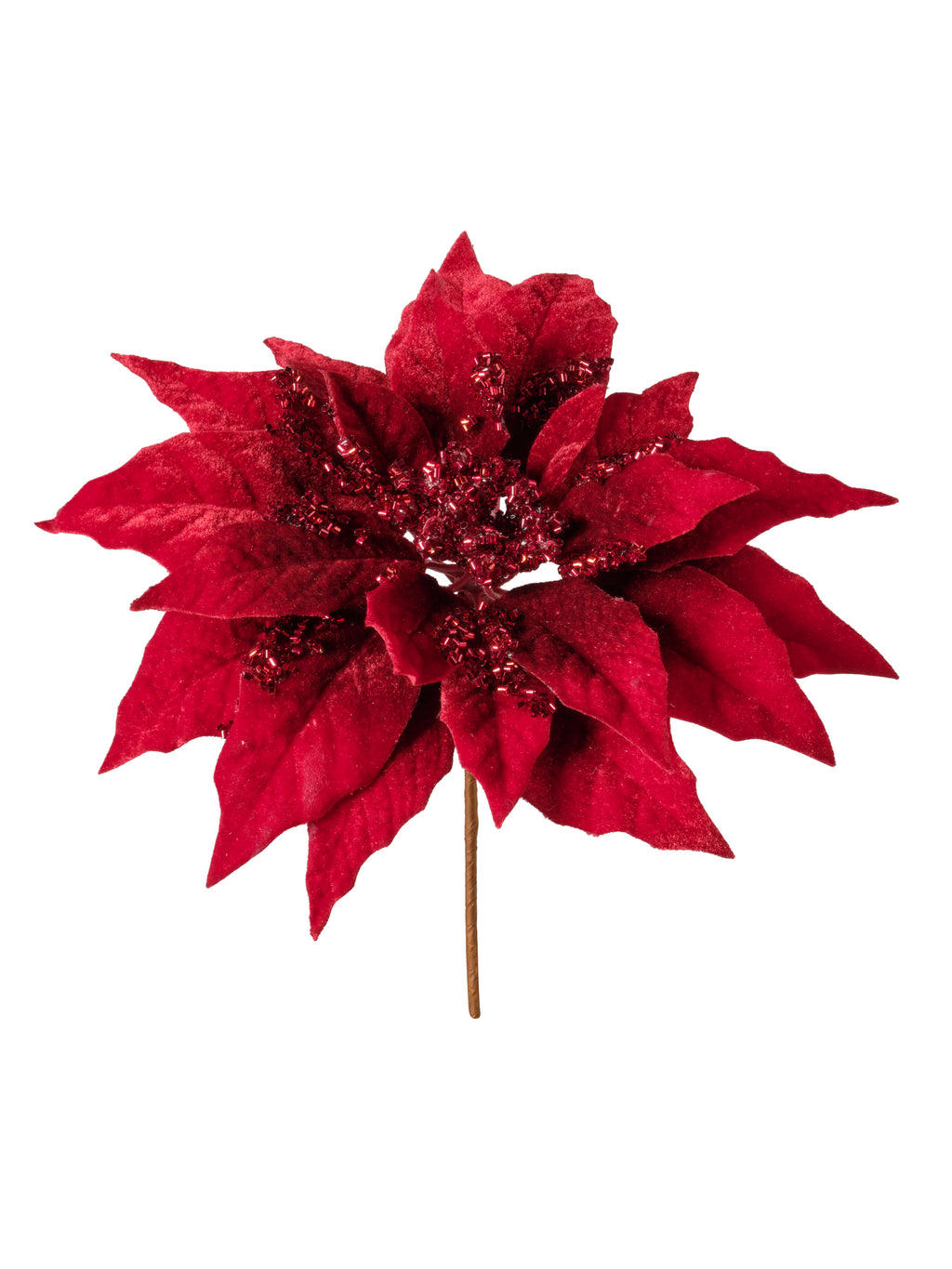 Rametto Stella Natale