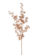 Ramo Fiorellini