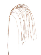 Ramo Erba