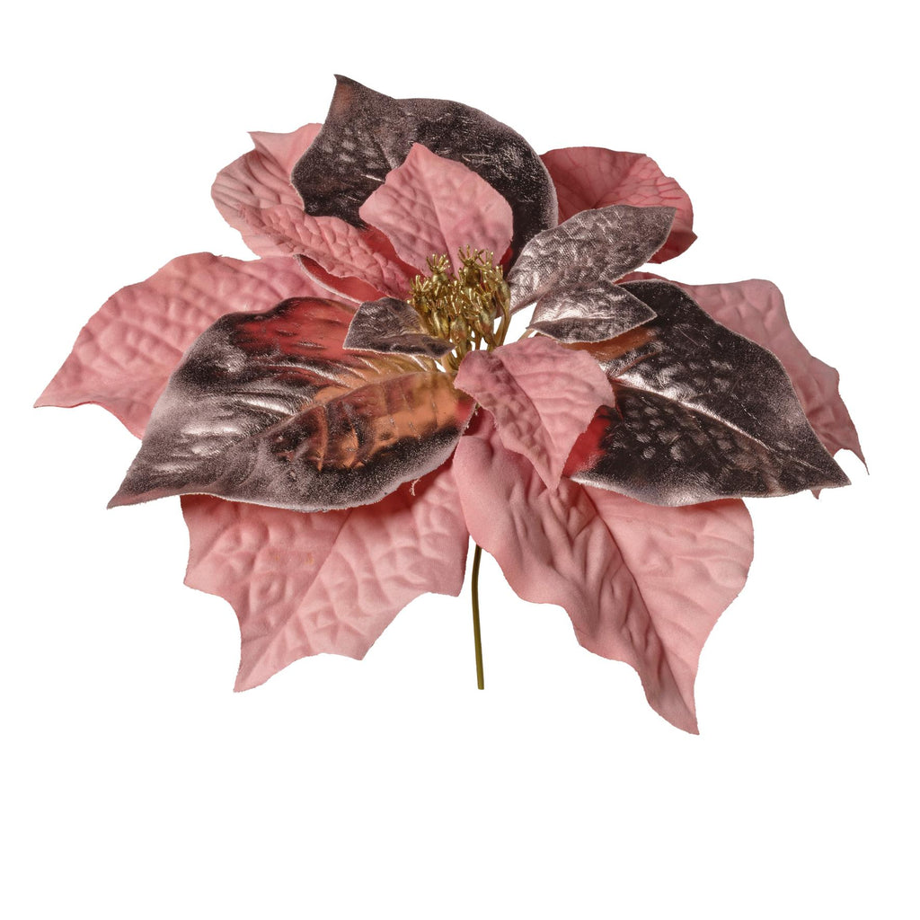 Rametto Stella Natale