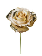 Rametto Rosa