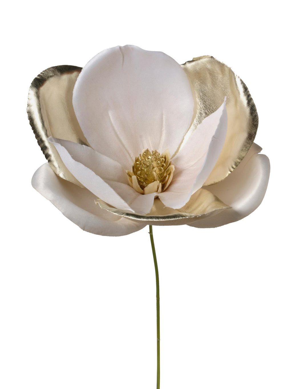 Rametto Magnolia