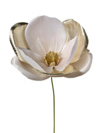 Rametto Magnolia
