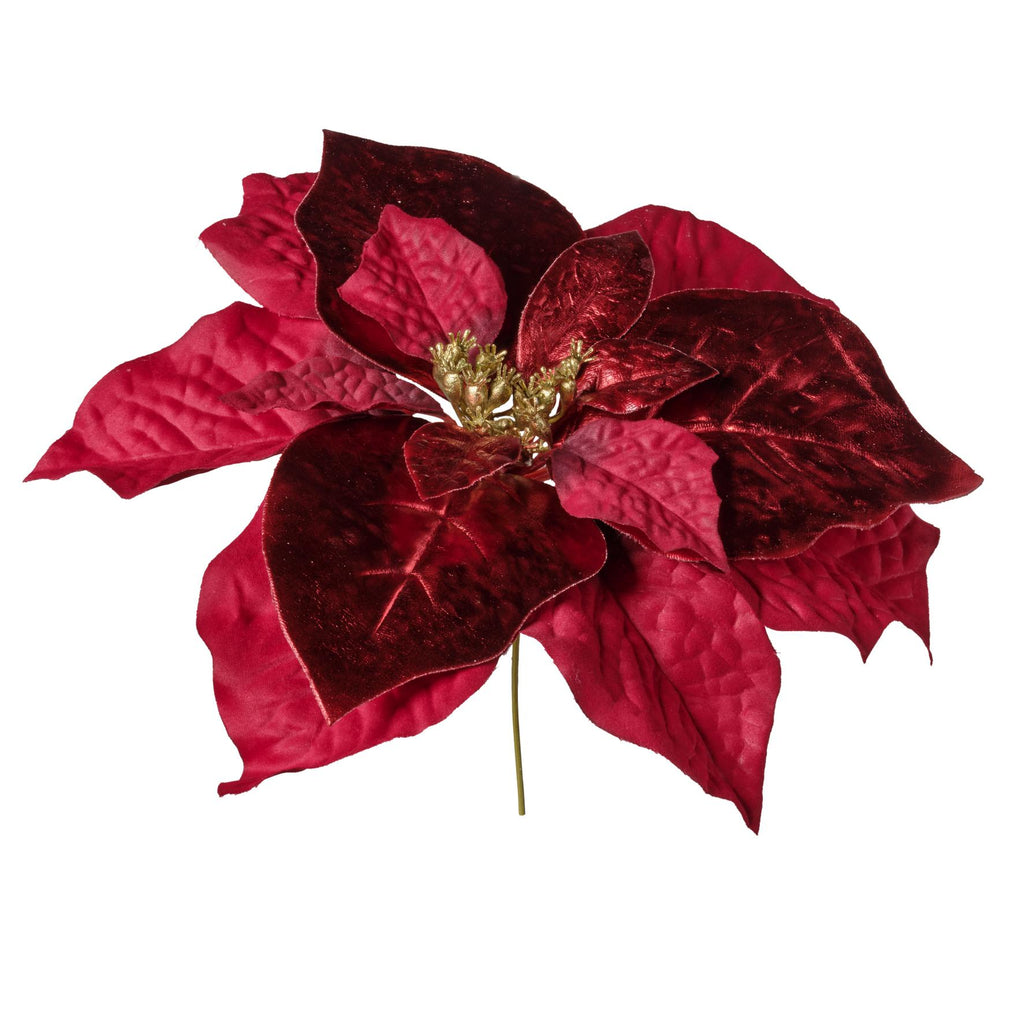 Rametto Stella Natale
