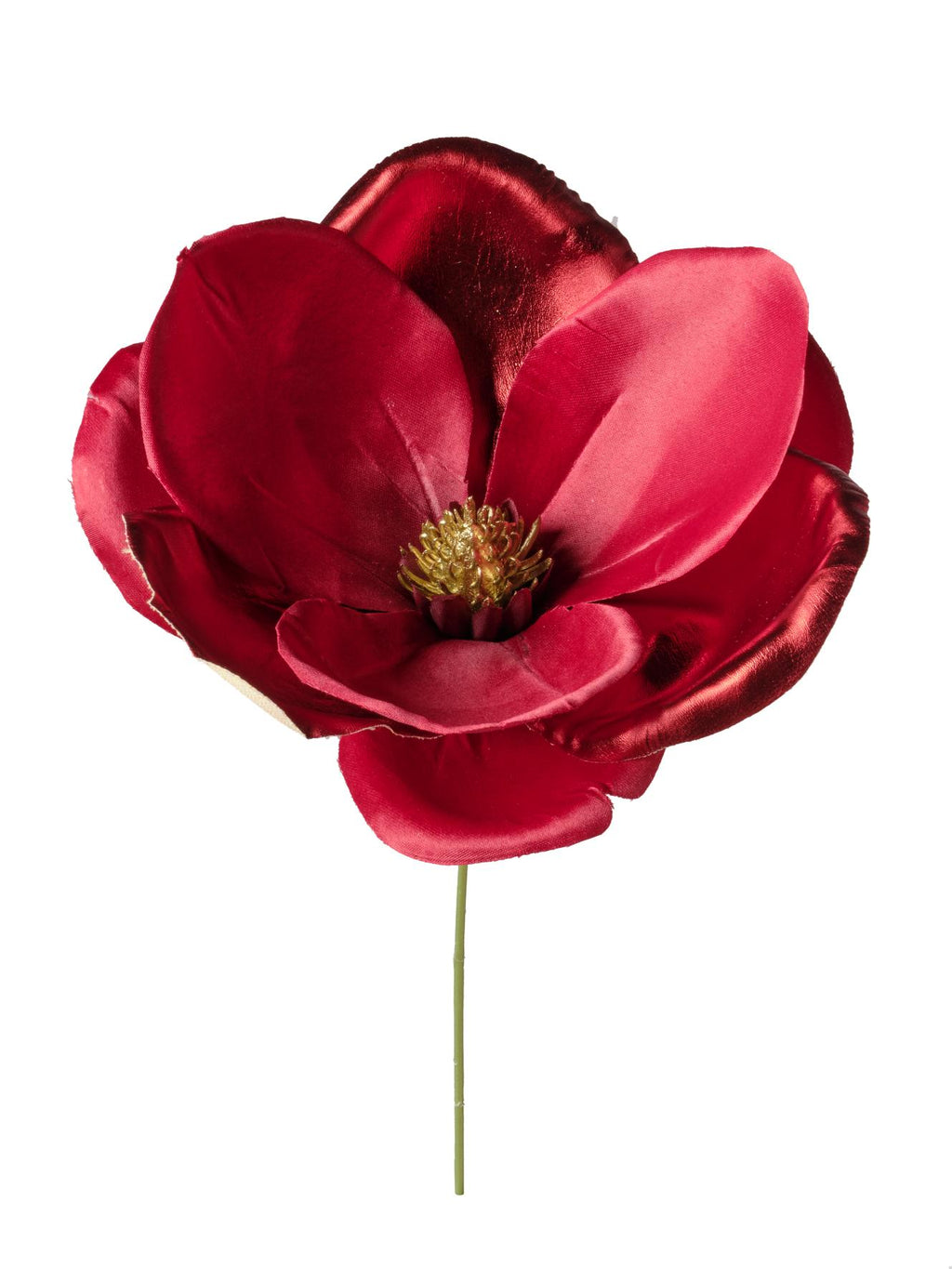 Rametto Magnolia