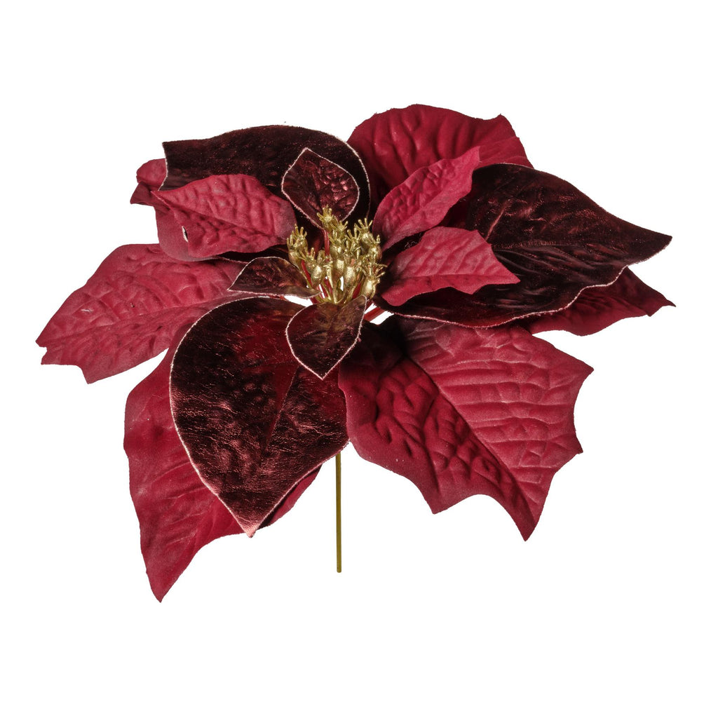 Rametto Stella Natale