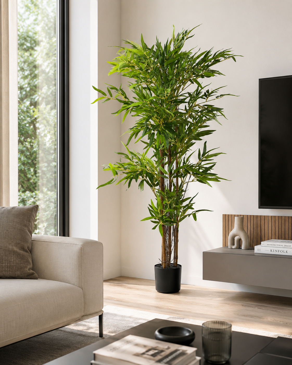 Pianta bamboo