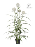 Pianta artificiale agapanthus