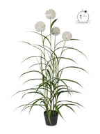 Pianta artificiale agapanthus