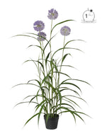 Pianta artificiale agapanthus