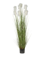 Pianta artificiale pampas