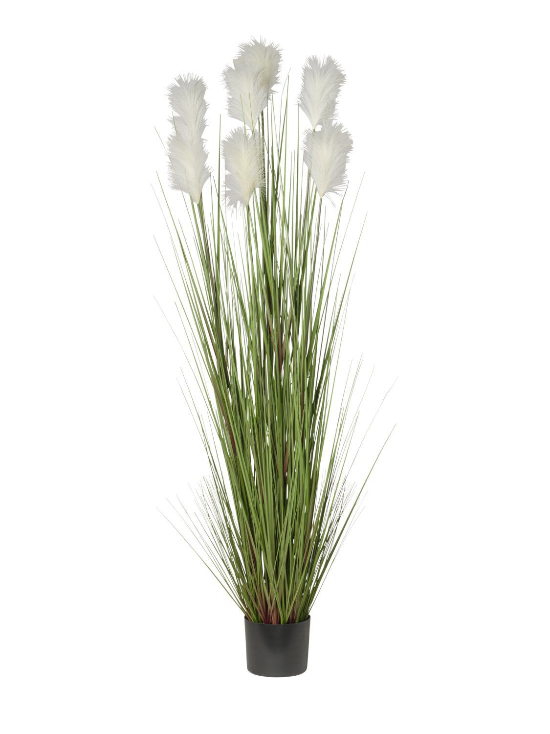 Pianta artificiale pampas