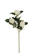 Fiore Rosa Ramificata