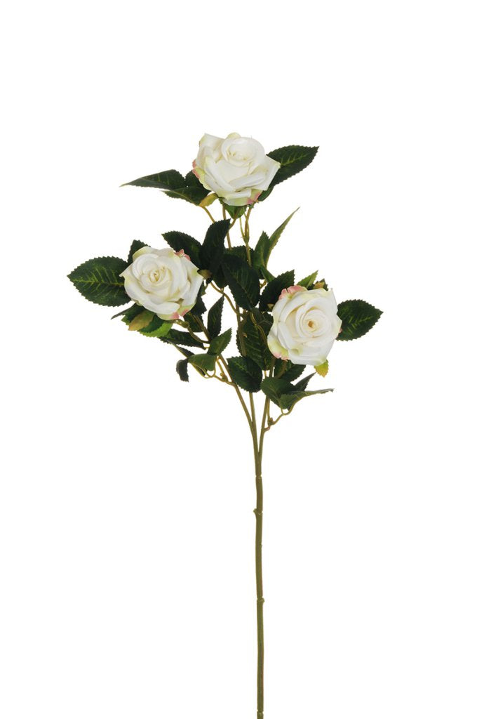 Fiore Rosa Ramificata