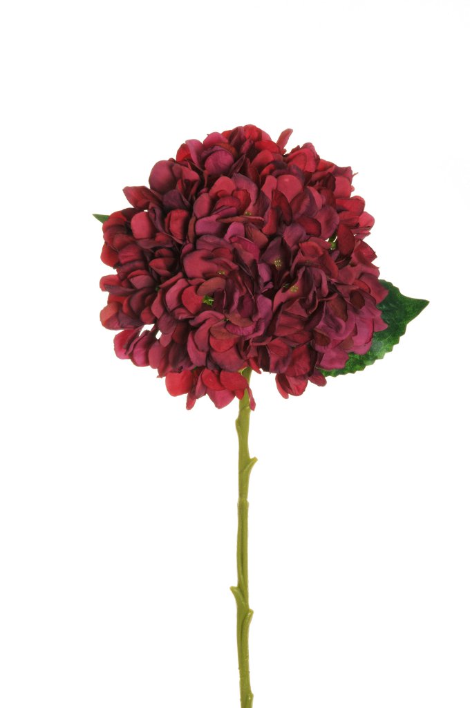 Ortensia artificiale