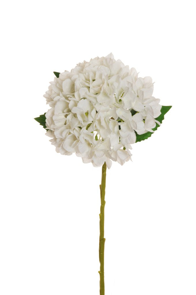 Ortensia artificiale