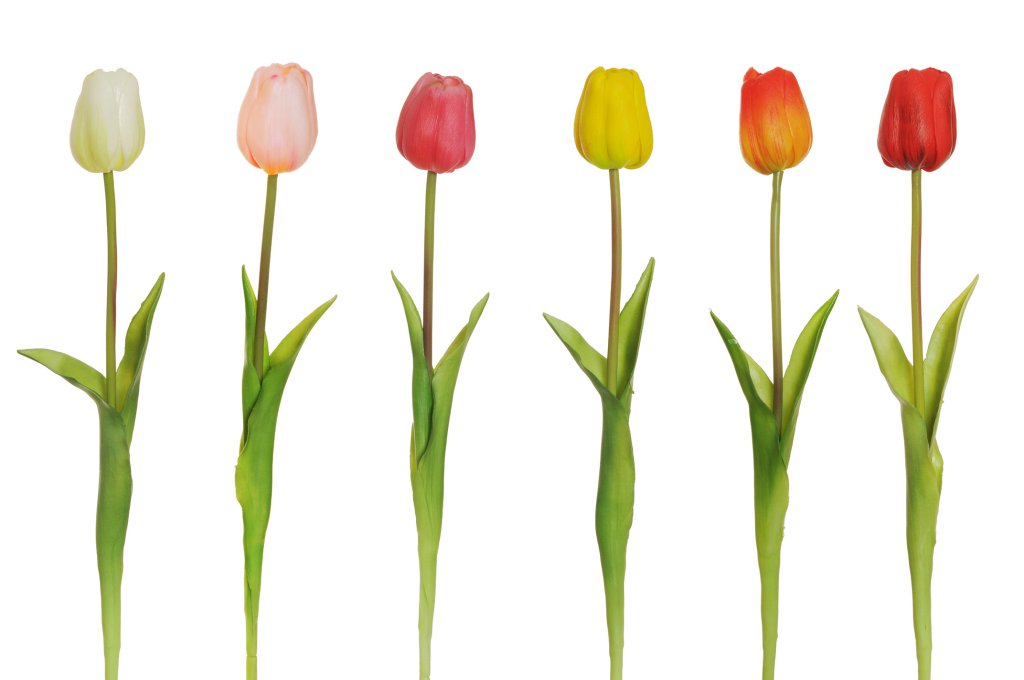 TULIPANO IN GOMMA CON DUE FOGLIE