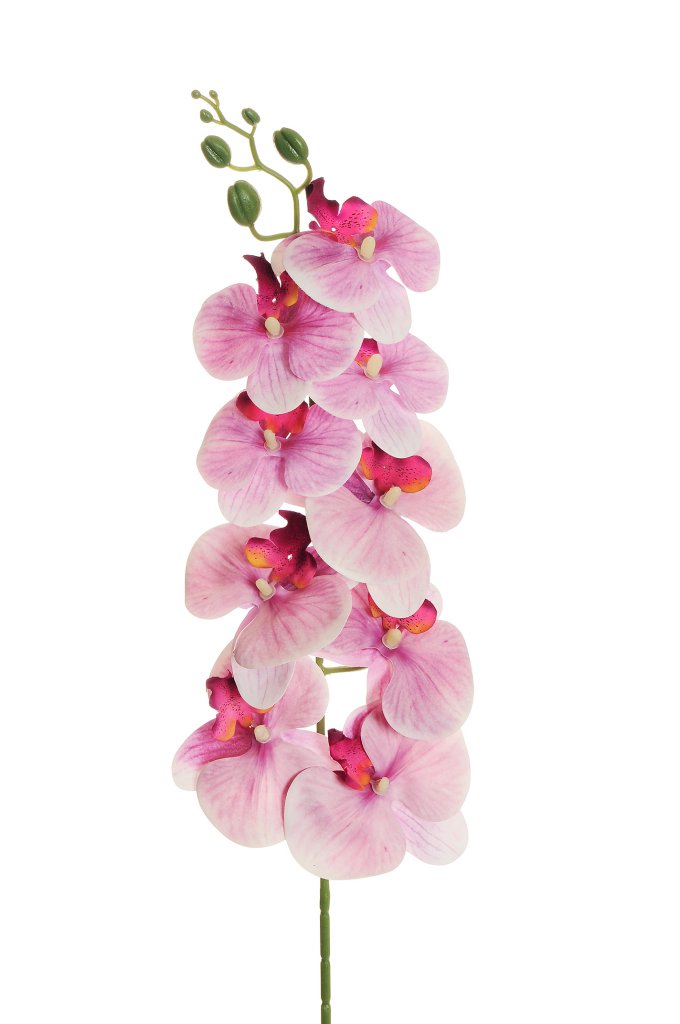 Fiore orchidea artificiale