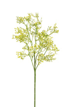 FIORE ROSMARINO