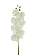Fiore orchidea artificiale