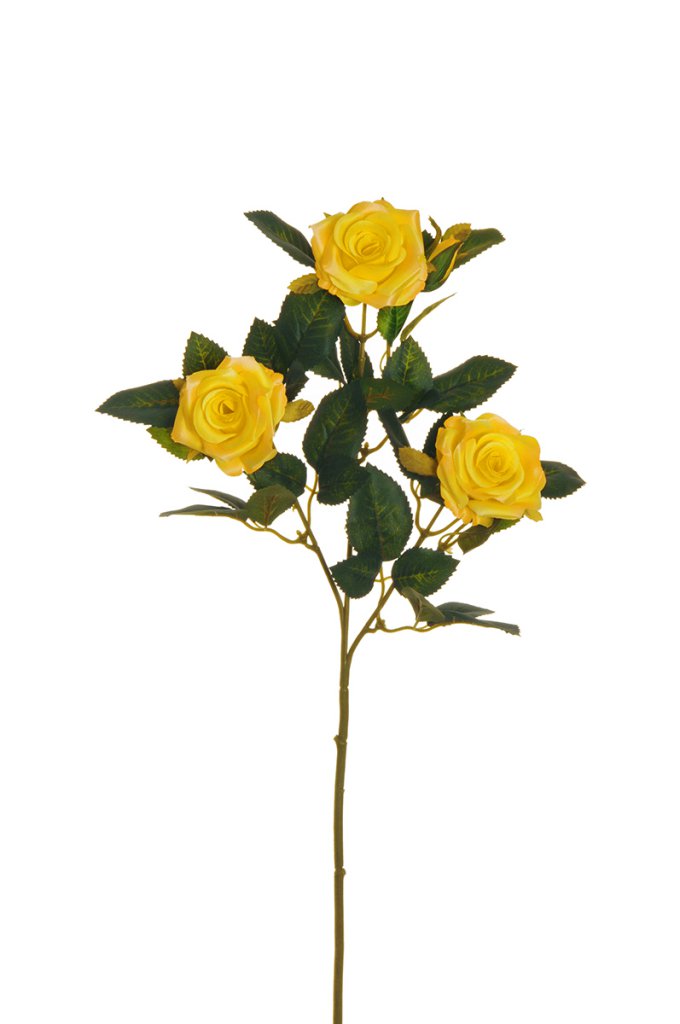 Fiore Rosa Ramificata