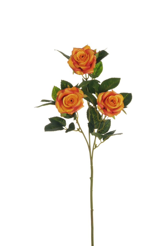 Fiore Rosa Ramificata
