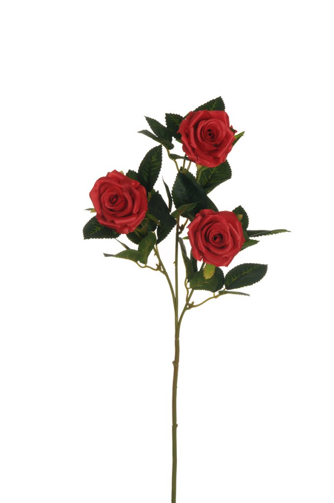 Fiore Rosa Ramificata