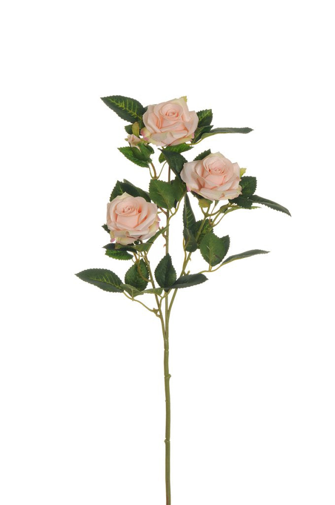 Fiore Rosa Ramificata