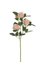 Fiore Rosa Ramificata