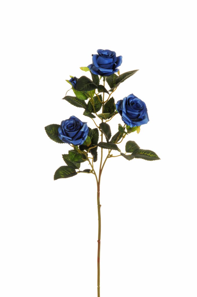 Fiore Rosa Ramificata