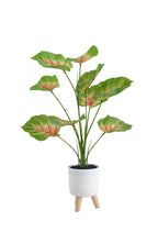 Pianta artificiale  con vaso treppiede