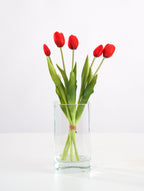 Mazzo tulipani