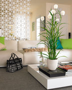 Pianta artificiale agapanthus