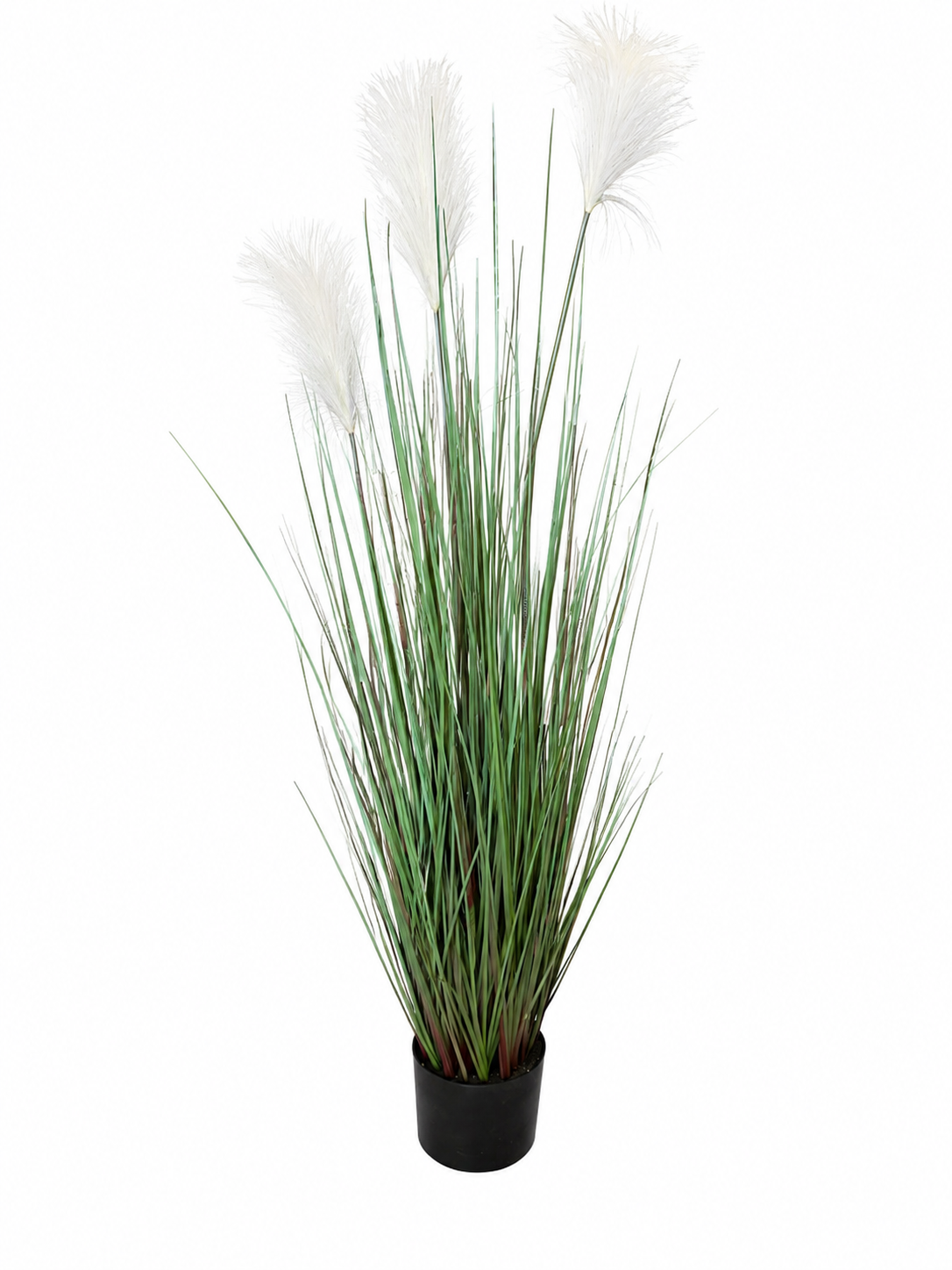 Pianta artificiale pampas