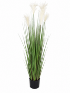 Pianta artificiale pampas