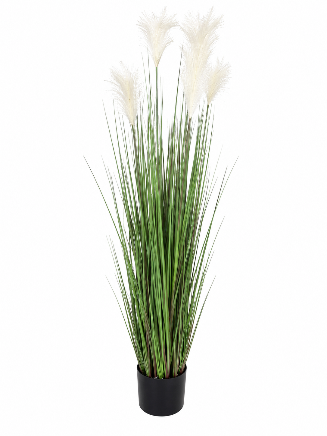 Pianta artificiale pampas