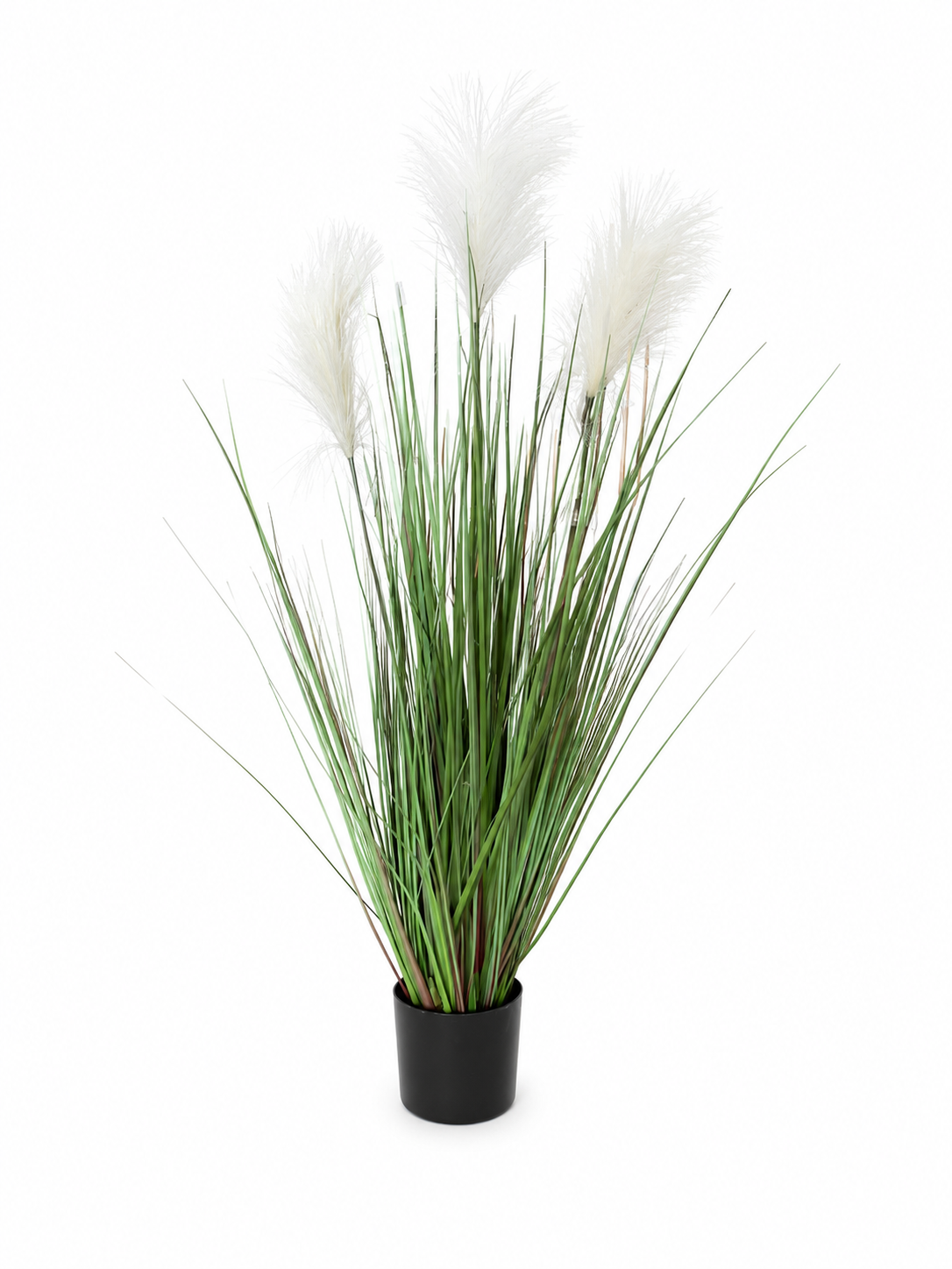 Pianta artificiale pampas